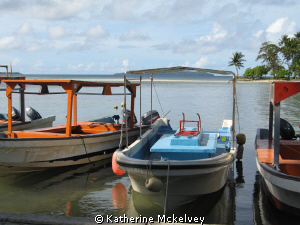 On the dock by Blue Lagoon Dive Shop. by Katherine Mckelvey 